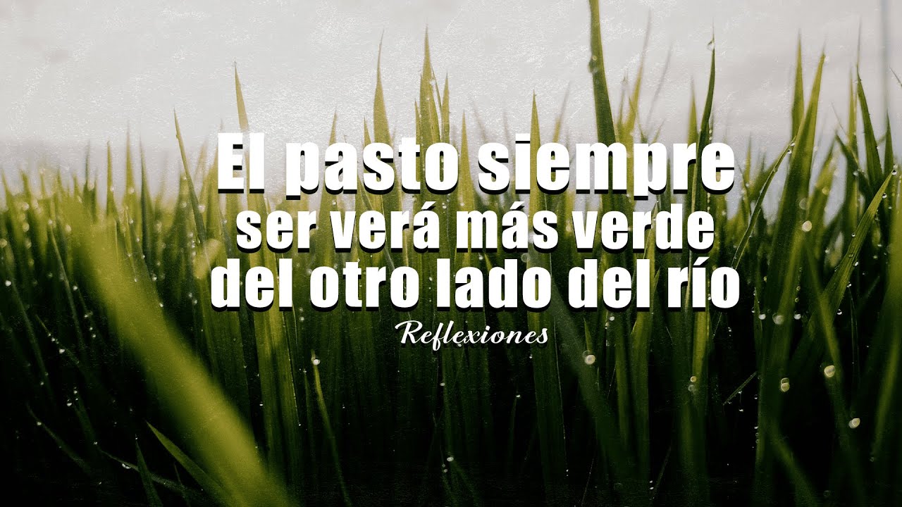 La hierba es más verde en el otro lado: descubre la verdad 1 la hierba es más verde en el otro lado